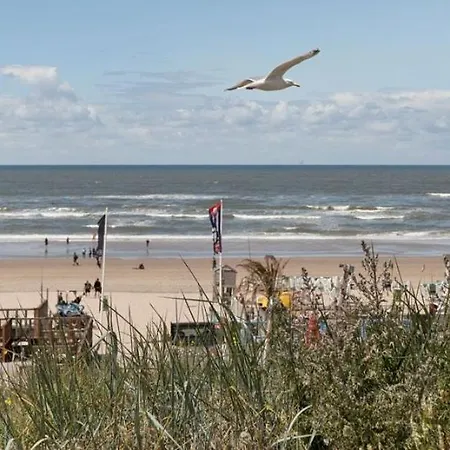 Appartement Family City Apartment Zandvoort
