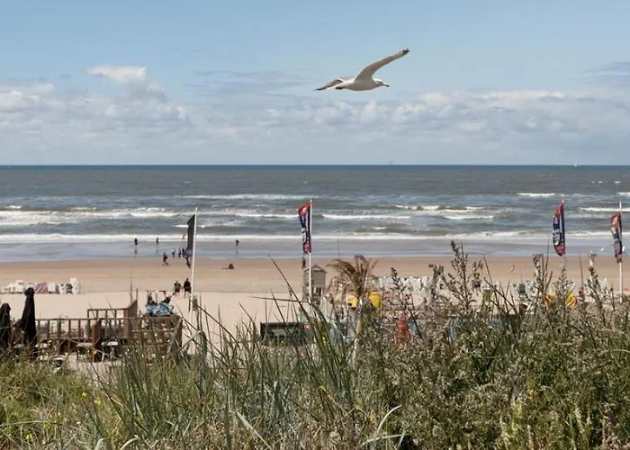 Apartment Friends & Family Retreat Zandvoort