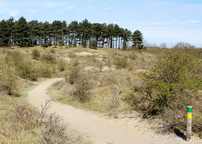 Friends & Family Retreat Apartment Zandvoort